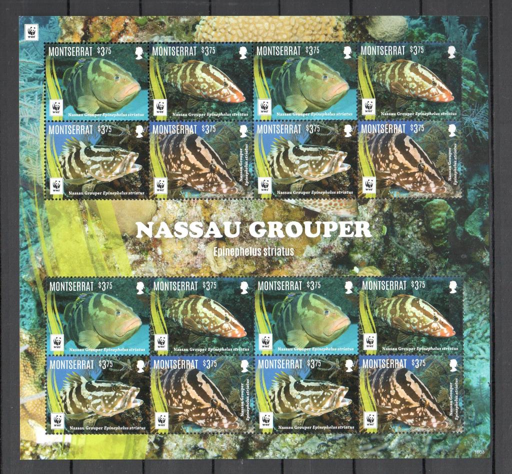 WWF postzegelvel van de Nassautandbaars, Ophalen of Verzenden, Postfris, Dier of Natuur