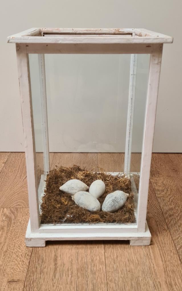 Glazen Vitrine Bak/Windlicht, Ophalen