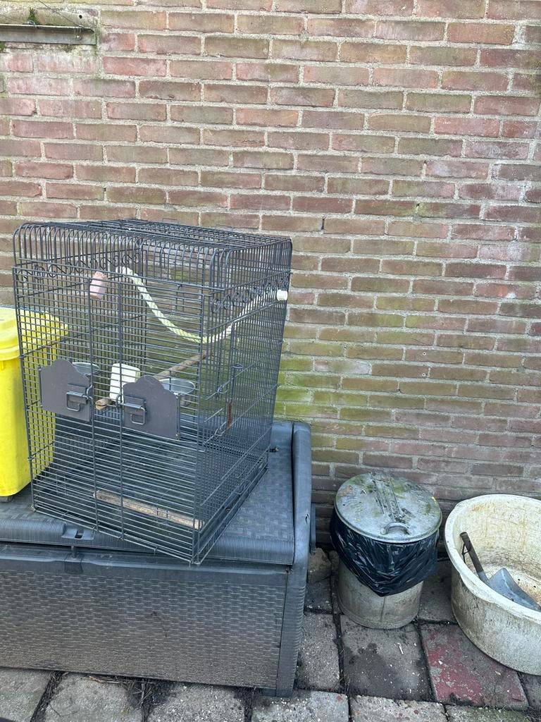 Vogelkooi met standaard, Dieren en Toebehoren, Vogels | Hokken en Kooien, Ophalen of Verzenden, Metaal, Vogelkooi