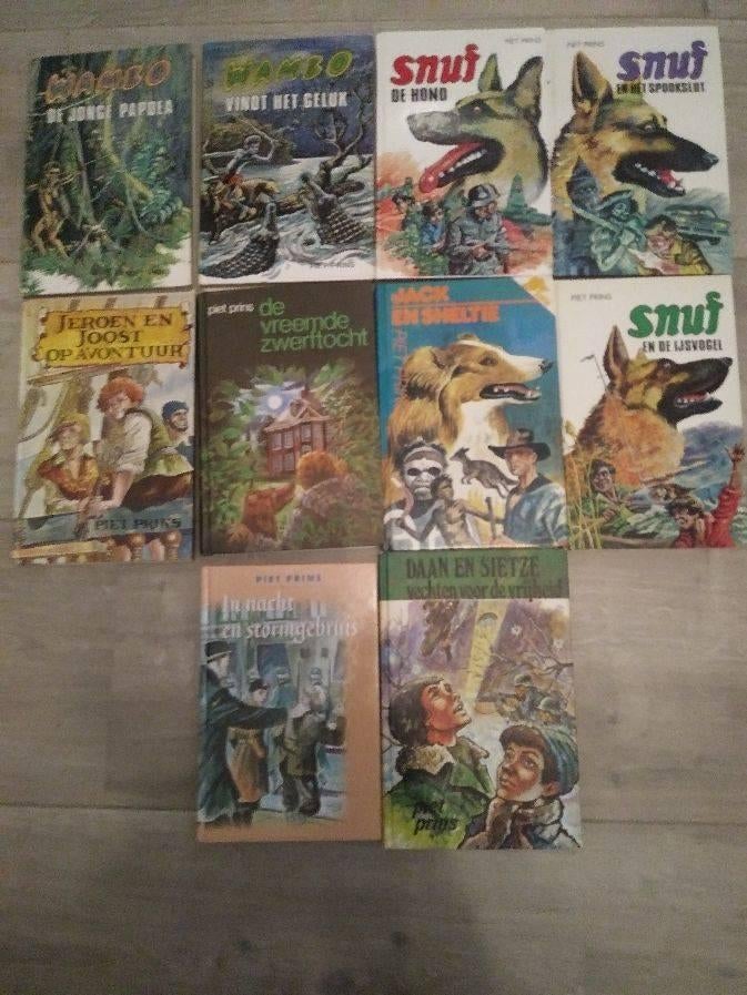 Diverse titels van Piet Prins., Boeken, Ophalen of Verzenden, Zo goed als nieuw