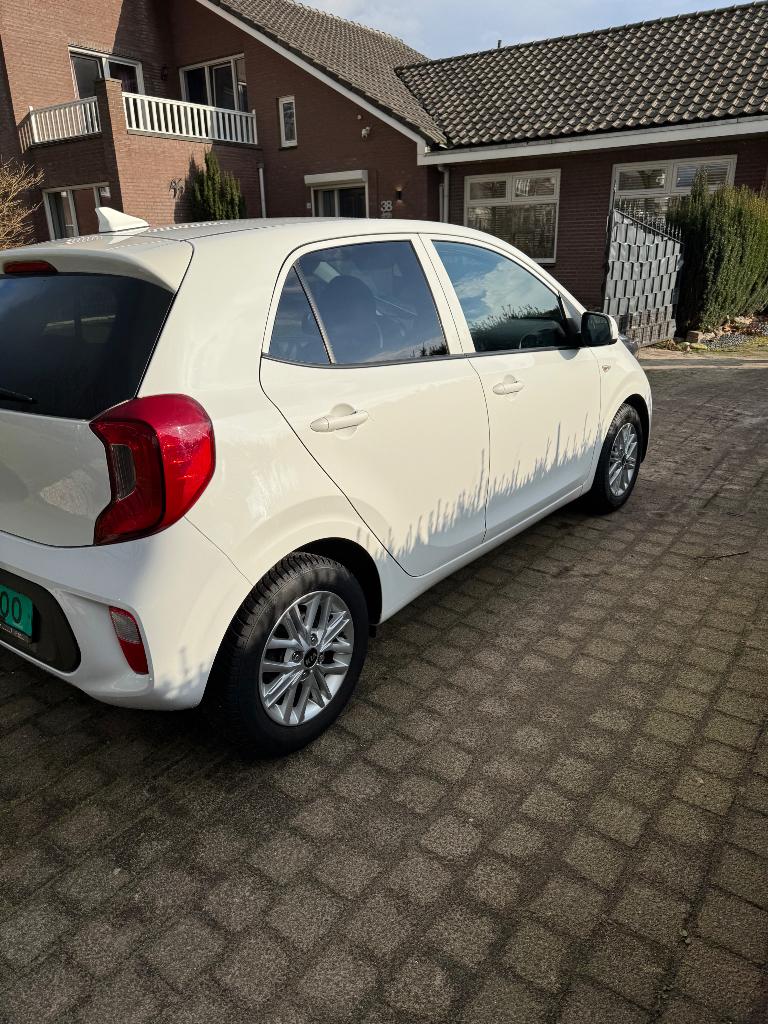Kia Picanto 1.0 dream team uitvoering 11-11-2020, Auto's, Kia, Bedrijf, Picanto, ABS, Airbags, Airconditioning, Android Auto, Apple Carplay