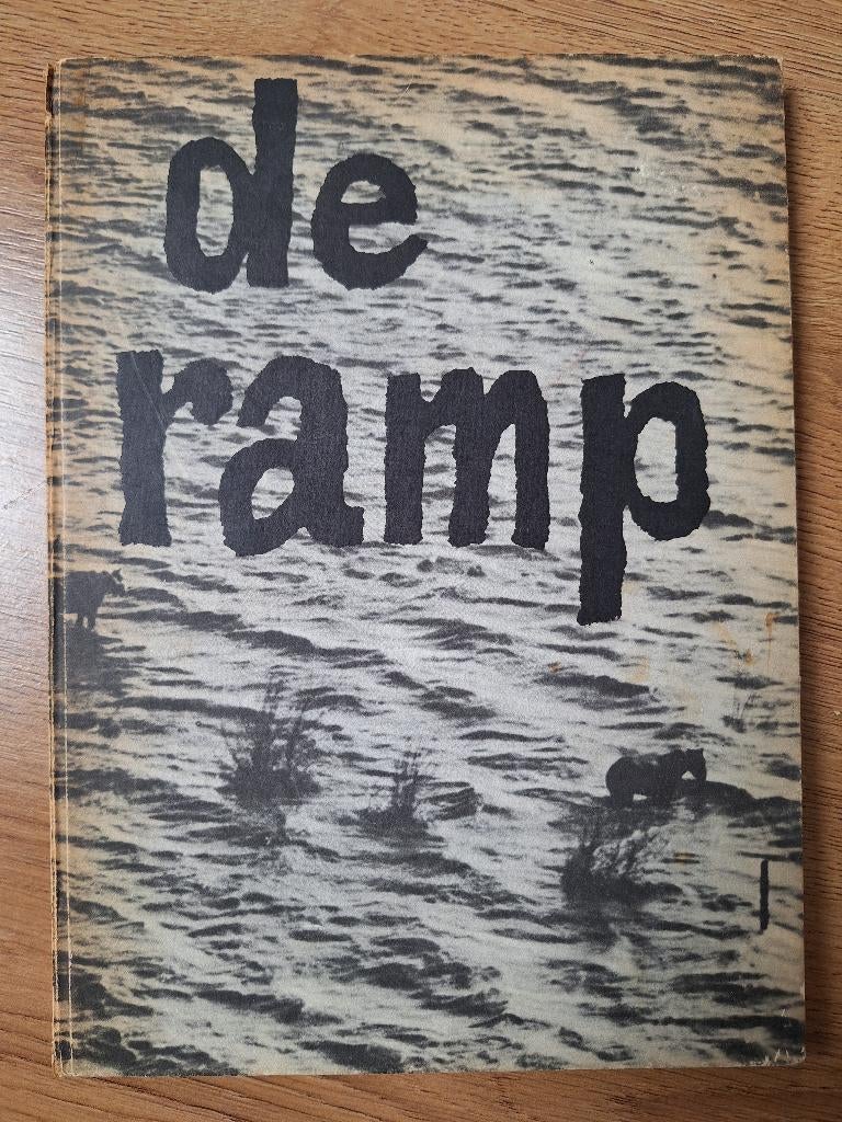 De ramp (watersnoodramp), Ophalen of Verzenden, 20e eeuw of later, Zo goed als nieuw