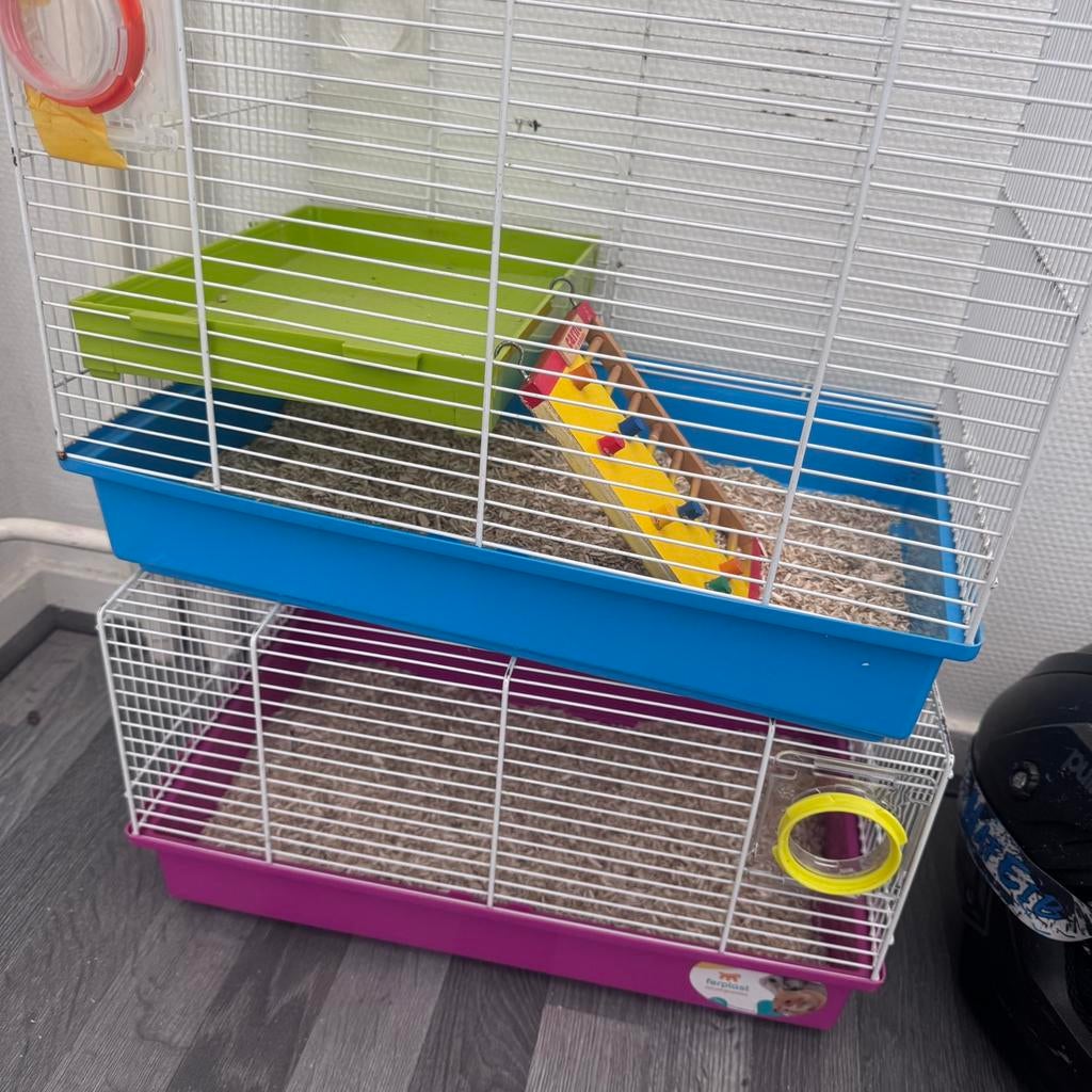 2 hamsterhokken, Ophalen, Minder dan 75 cm, Kooi, Minder dan 60 cm