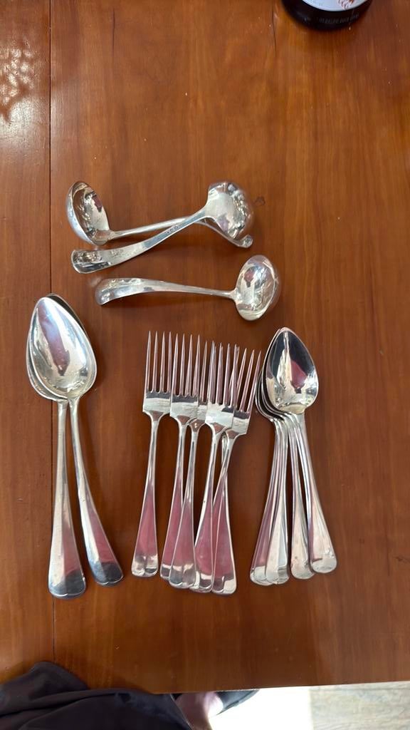 Bestek haags lof, Ophalen of Verzenden