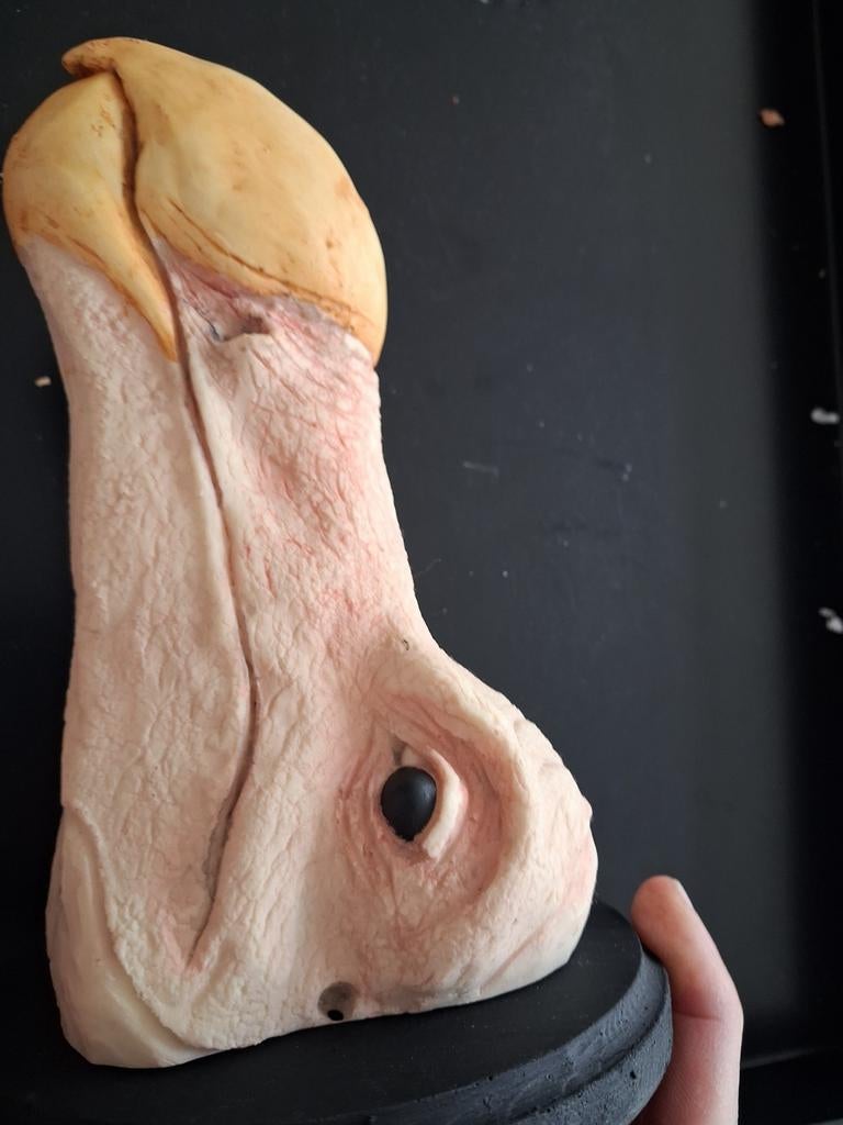 Dodo Hoofd Replica - Uniek Decoratiestuk, Ophalen of Verzenden