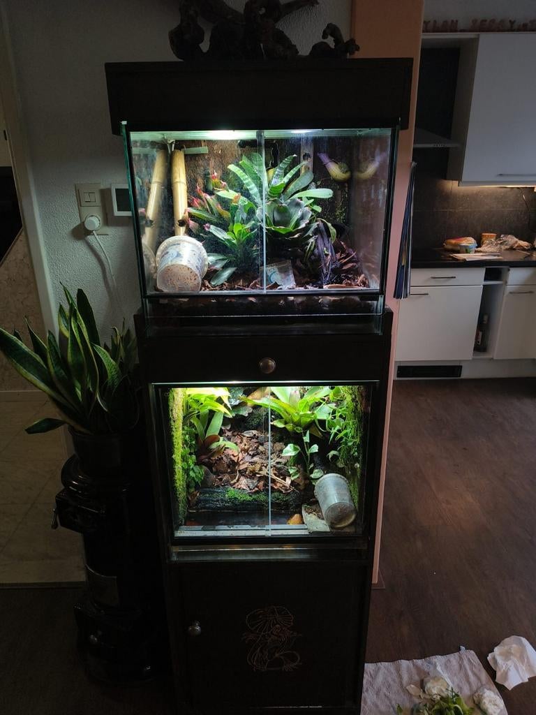 Volledig ingerichte paludarium setup, Dieren en Toebehoren, Reptielen en Amfibieën | Toebehoren, Ophalen, Terrarium of Paludarium