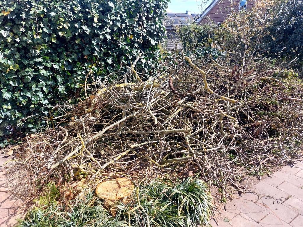 Vers gehakte takken van notenboom, 3 tot 6 m³, Ophalen, Overige houtsoorten, Takken
