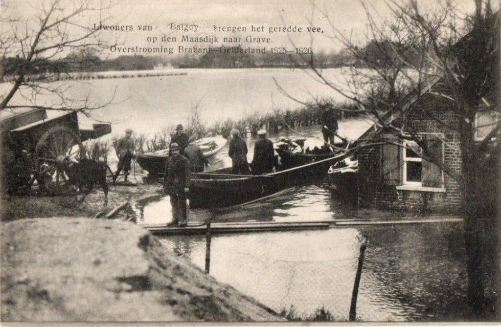 MM121 Grave Balgoy 1925 brengen vee via Maasdijk naar Grave, Verzenden, 1920 tot 1940, Ongelopen, Noord-Brabant