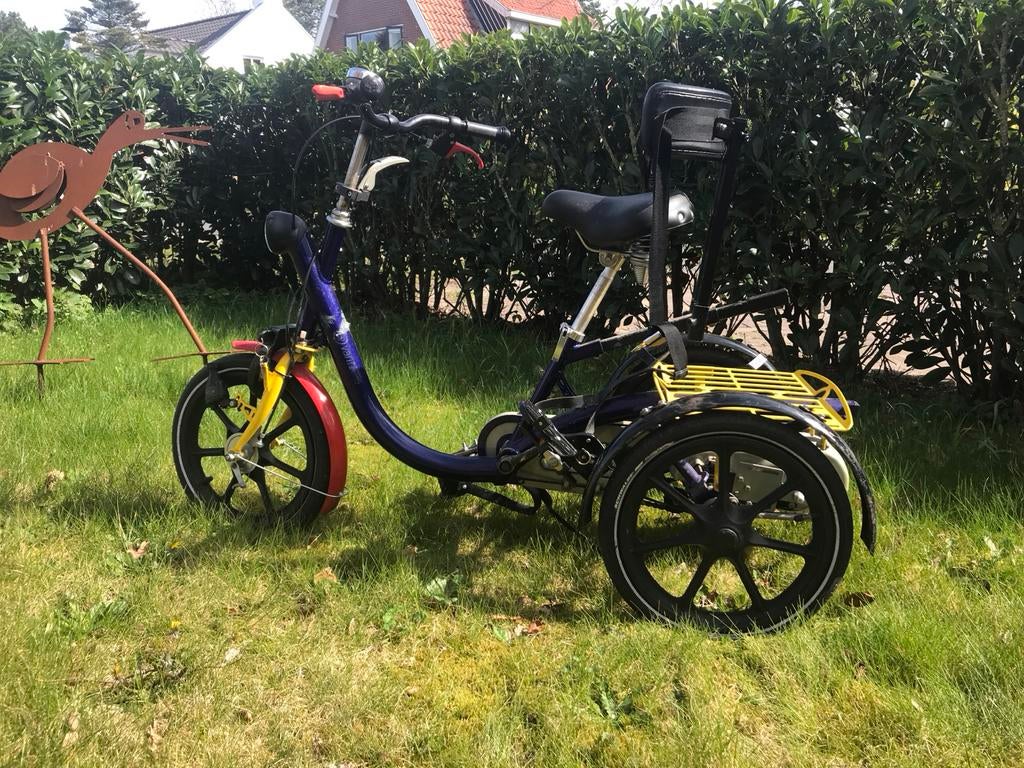 Van Raam driewieler met lichte trapondersteuning, Ophalen, Gebruikt