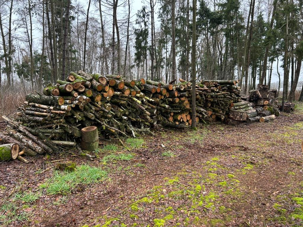 Haardhout brandhout, Tuin en Terras, Haardhout, Ophalen, Stammen