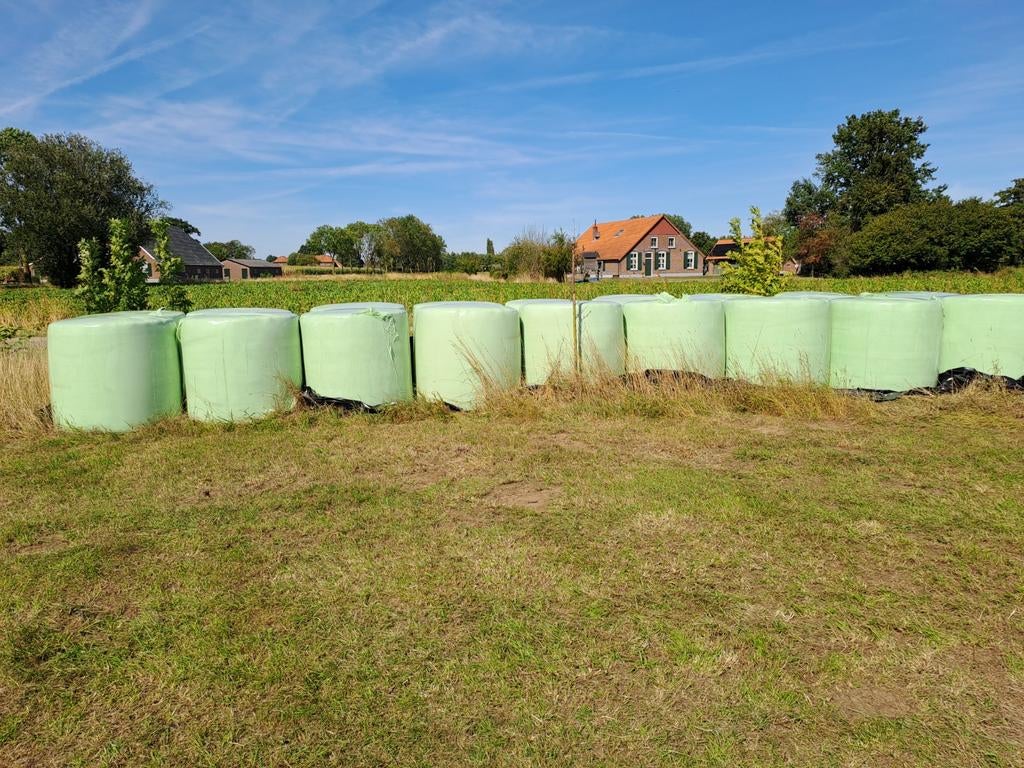 Hooibalen (nog te persen), Dieren en Toebehoren, Dierenvoeding, Vee, Ophalen