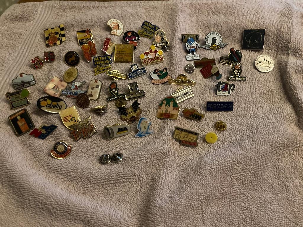 kleine verzameling pins, Ophalen, Gebruikt, Overige onderwerpen, Speldje of Pin