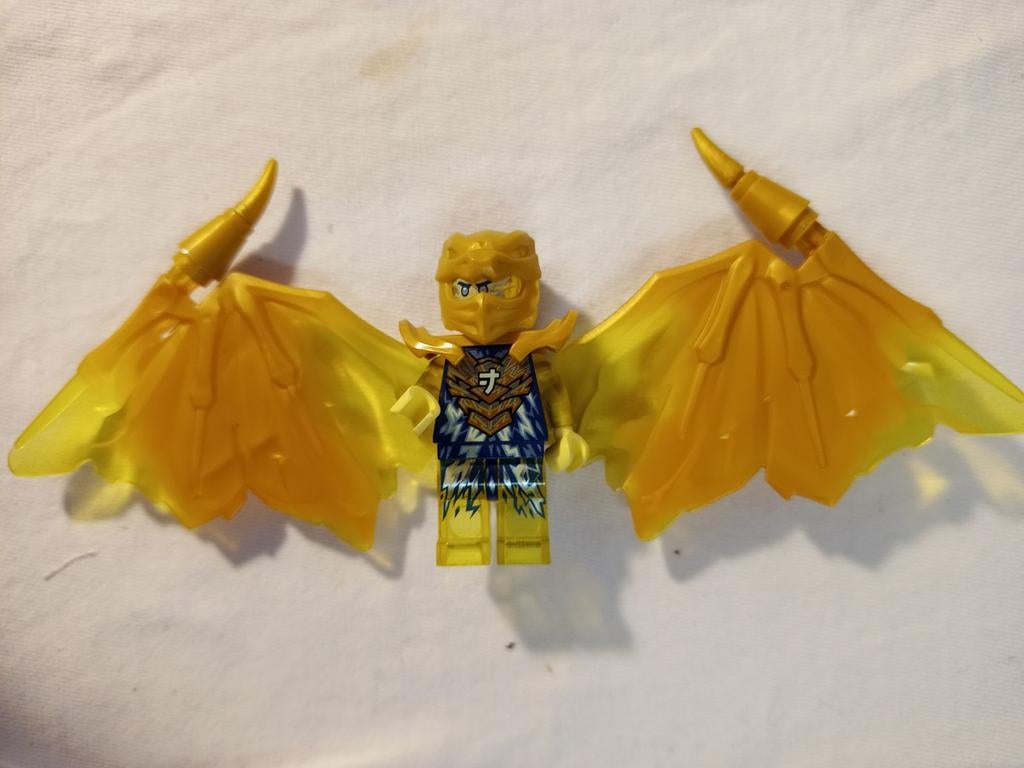 Njo0755 Jay Golden Dragon., Ophalen of Verzenden