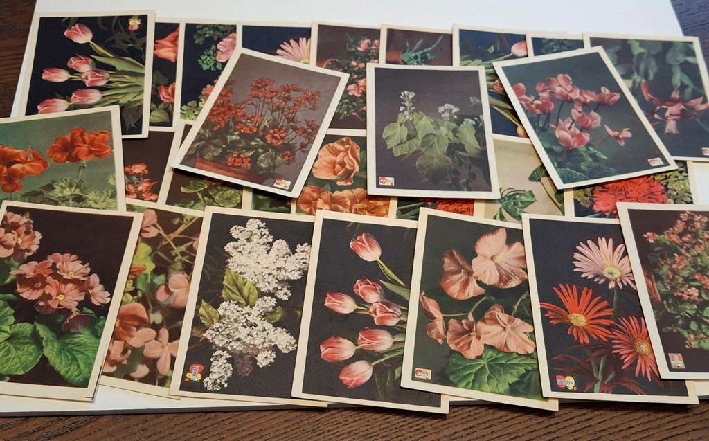 Pokon meststoffen voor bloemen en planten spaarkaarten, Ophalen of Verzenden, Gebruikt