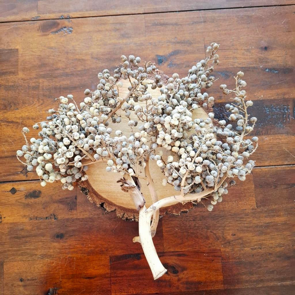 Gedroogde dadeltakken, Ophalen