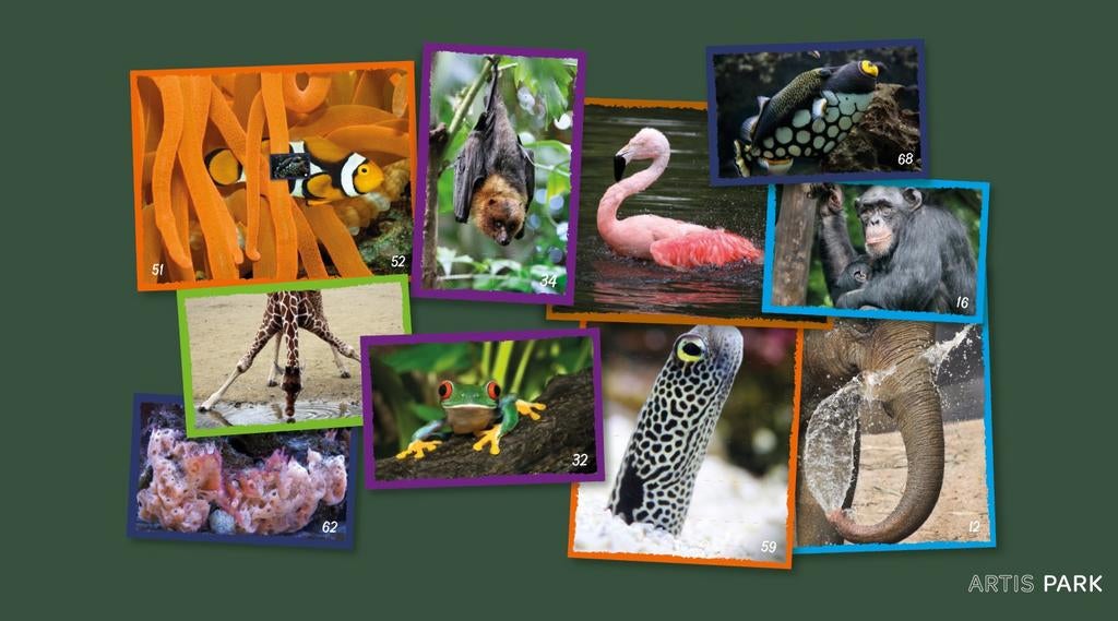 Dekamarkt artis plaatjes, Albert Heijn, Ophalen of Verzenden