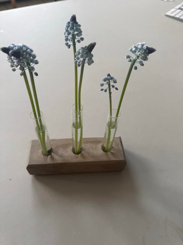 Minimalistisch vaasje met glazen reageerbuisjes, Overige kleuren, Nieuw, Ophalen of Verzenden, Glas