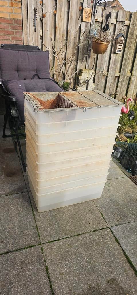 Kweekbakken, Ophalen of Verzenden