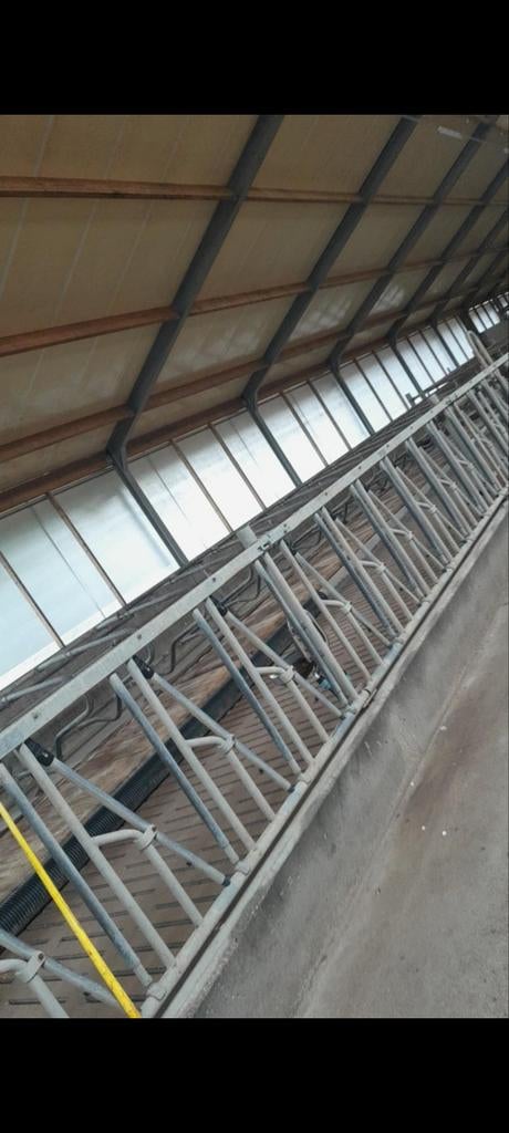 Ik ben op zoek naar stalinrichting stalen spanten voerhek li, Dieren en Toebehoren, Stalling en Weidegang