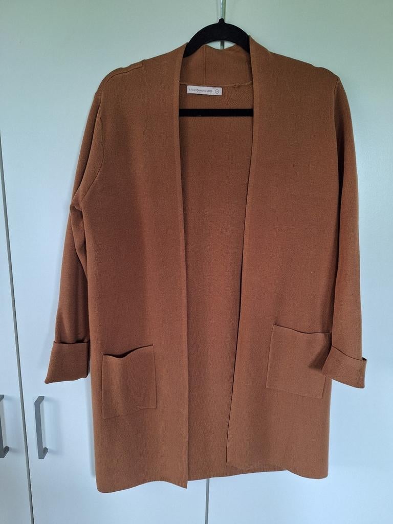 Vest studio anneloes als nieuw, Kleding | Dames, Ophalen of Verzenden, Zo goed als nieuw, Beige, Trui of Vest