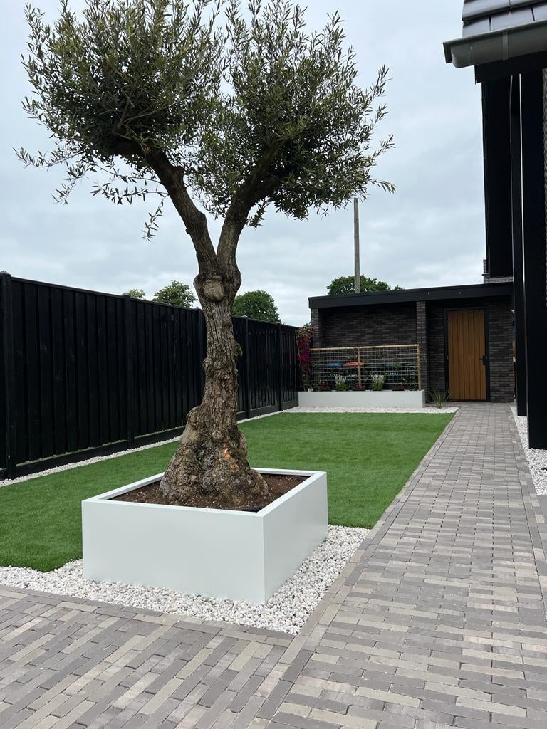 Stalen plantenbakken showmodellen spot prijs, 100 cm of meer, Vierkant, Nieuw, Ophalen of Verzenden