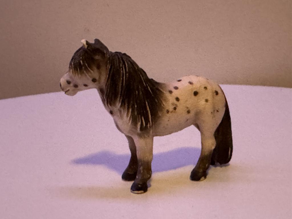 Falabella ruin – nr. 13278, Ophalen of Verzenden, Zo goed als nieuw