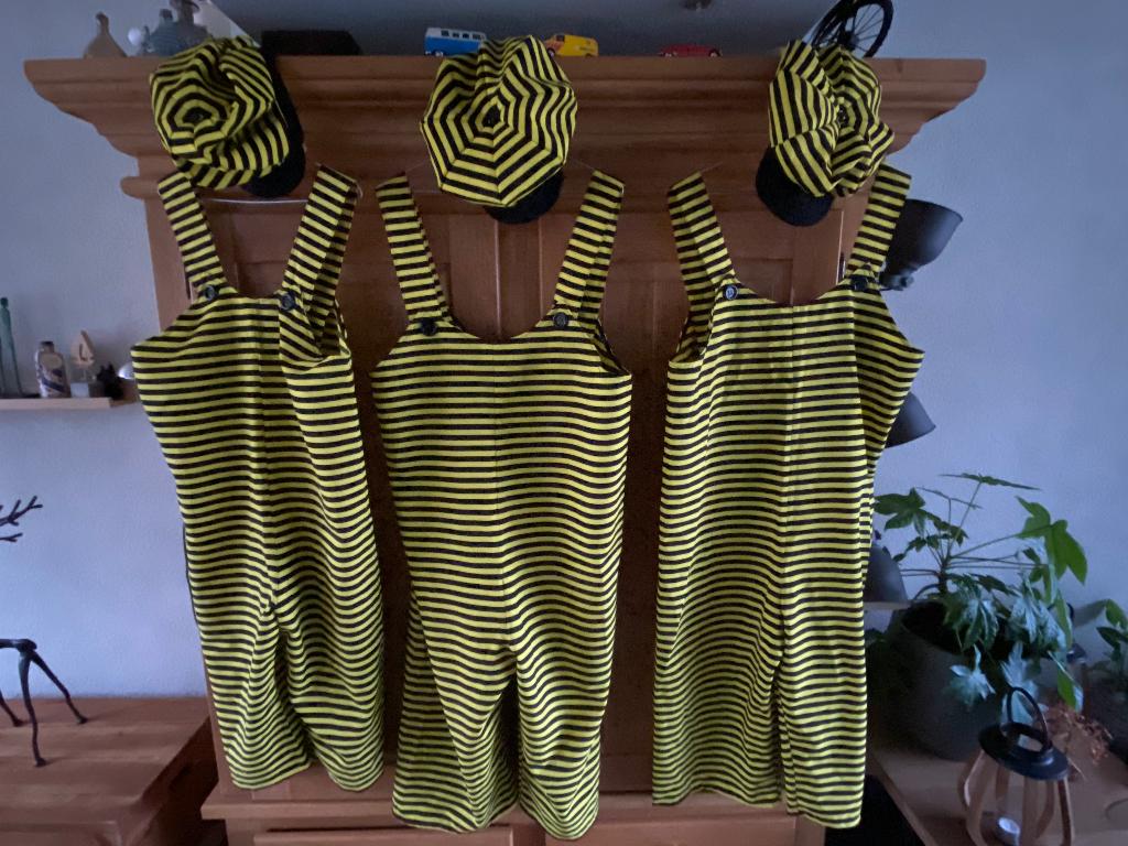 Kleding carnaval, Kleding | Dames, Carnavalskleding en Feestkleding, Ophalen, Carnaval, Maat 46/48 (XL) of groter, Zo goed als nieuw