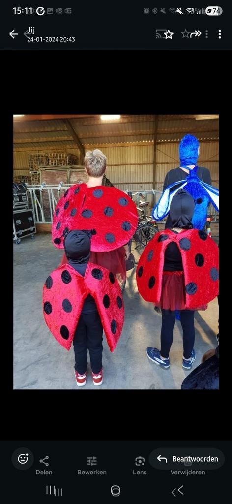 Lieveheersbeestje Carnavalspak - Optocht, Ophalen of Verzenden, Zo goed als nieuw