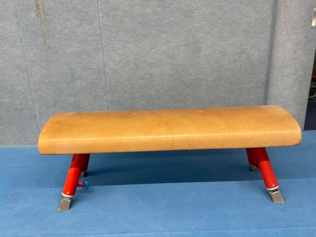 Voltige veulen, Kleiner dan kindermaat 122, Ophalen, Zo goed als nieuw, Materiaal