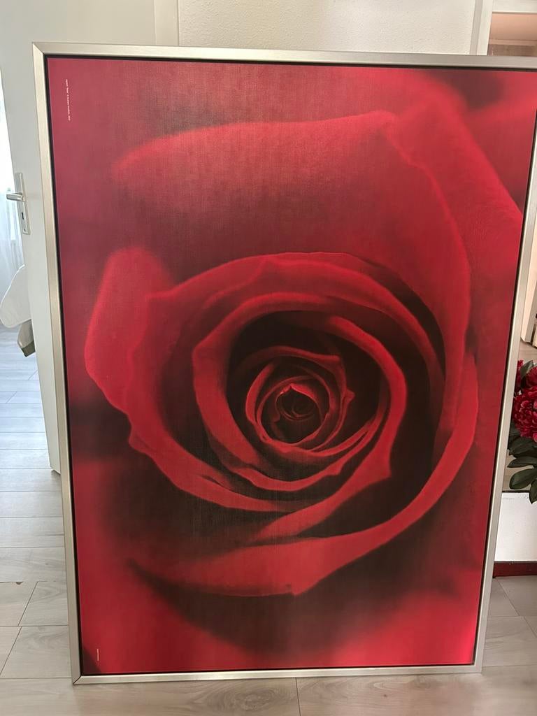 Roderizen, Ophalen of Verzenden