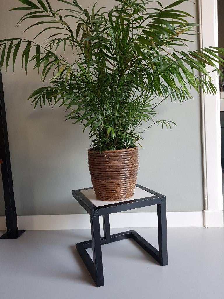 Metalen Bijzettafel, Plantentafel met Marmer blad, Minder dan 45 cm, Minder dan 55 cm, Gebruikt, Metaal of Aluminium