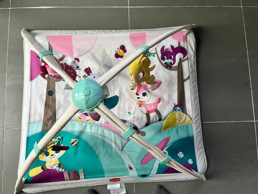 Tiny love babygym Princess tales met muziek, Ophalen, Gebruikt