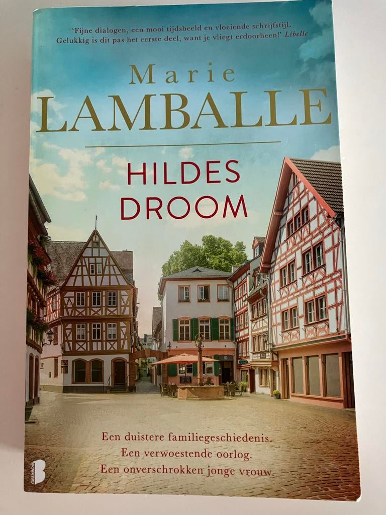 Hildes Droom - Marie Lamballe, Ophalen of Verzenden, Gelezen