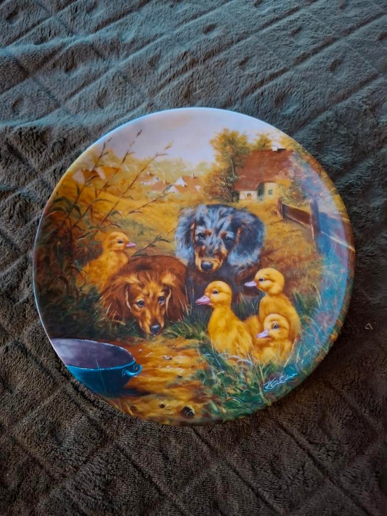 Wand bordje  schattig  tafereel met teckel en eendjes, Ophalen of Verzenden, Zo goed als nieuw, Dier