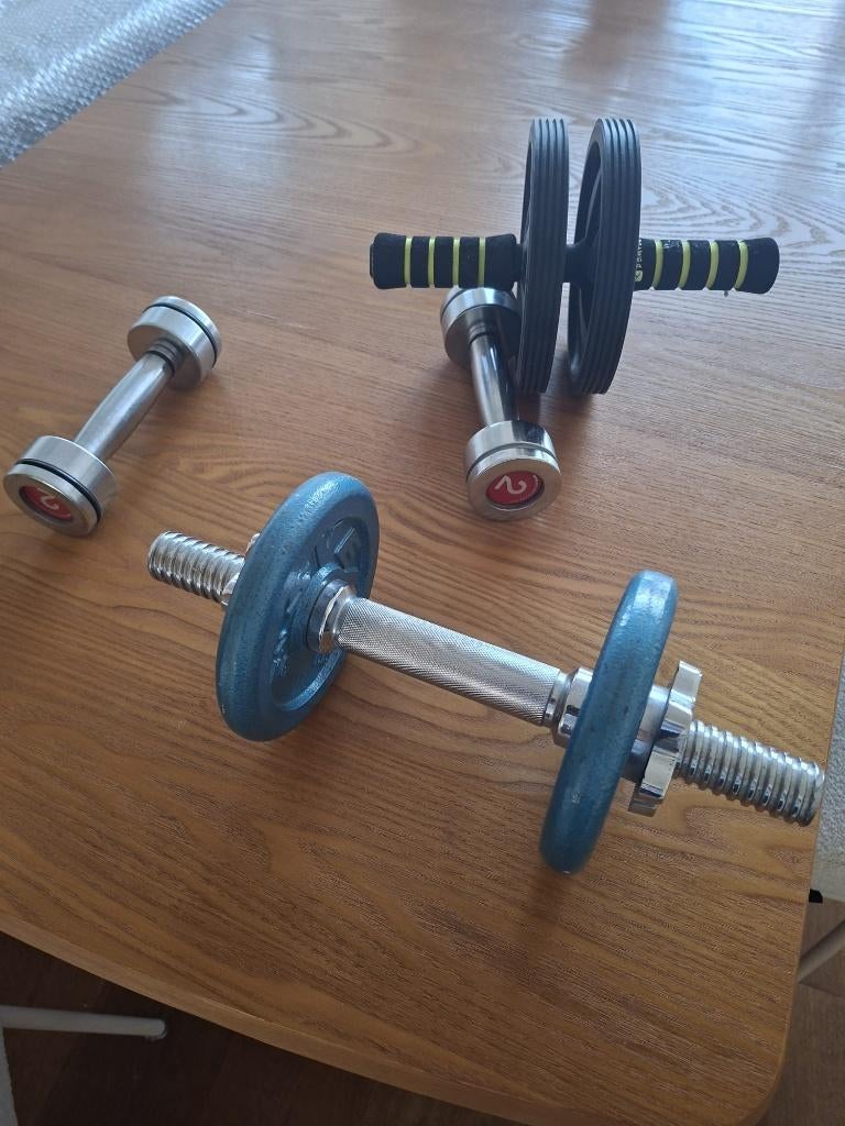 Gewichten en trainingswiel (buikspieren), Sport en Fitness, Fitnessmaterialen, Ophalen, Gebruikt, Buik, Dumbbell