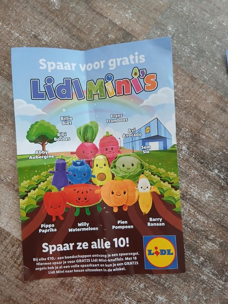 Lidl spaarkaarten voor Lidl Mini's, Lidl, Ophalen