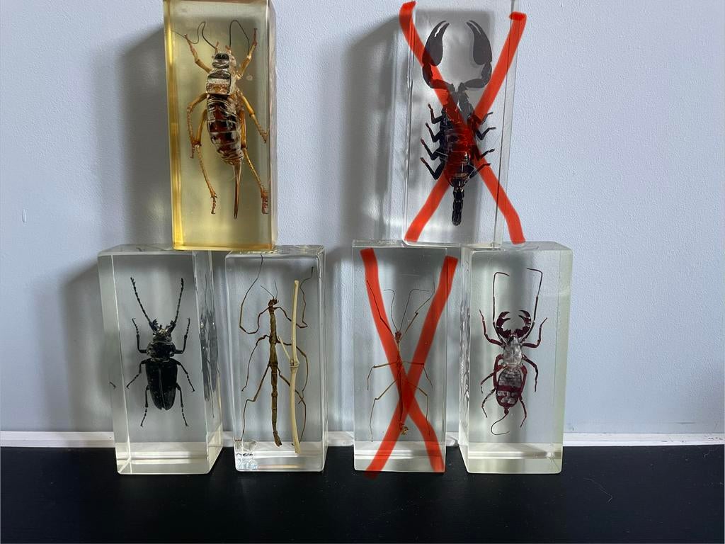 Insecten in hars, Verzamelen, Dierenverzamelingen, Ophalen of Verzenden, Gebruikt, Beeldje of Figuurtje