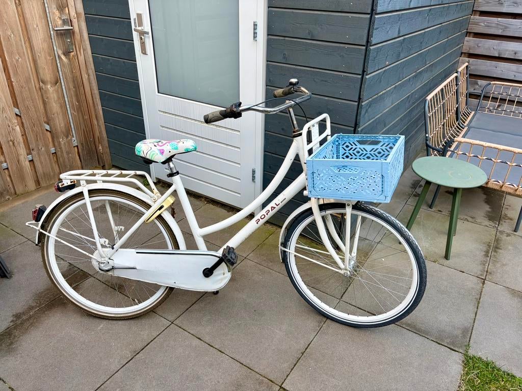 Popal kinderfiets, Ophalen, Gebruikt, 20 inch of meer