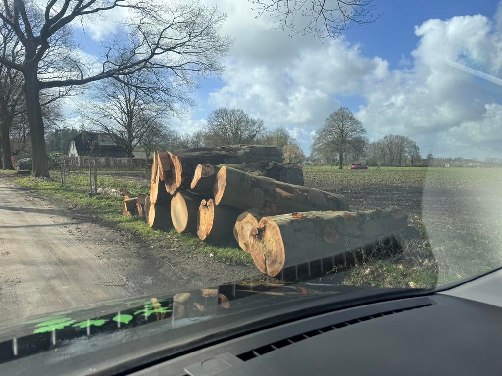 Dik brandhout beuk/eik, Tuin en Terras, Haardhout, 6 m³ of meer, Ophalen of Verzenden, Stammen