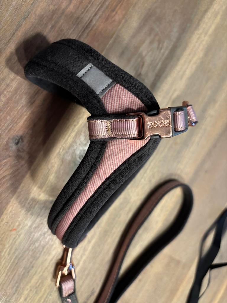 Rogz Urban Fast Fit Tuig XS en riem, Dieren en Toebehoren, Ophalen of Verzenden, Zo goed als nieuw