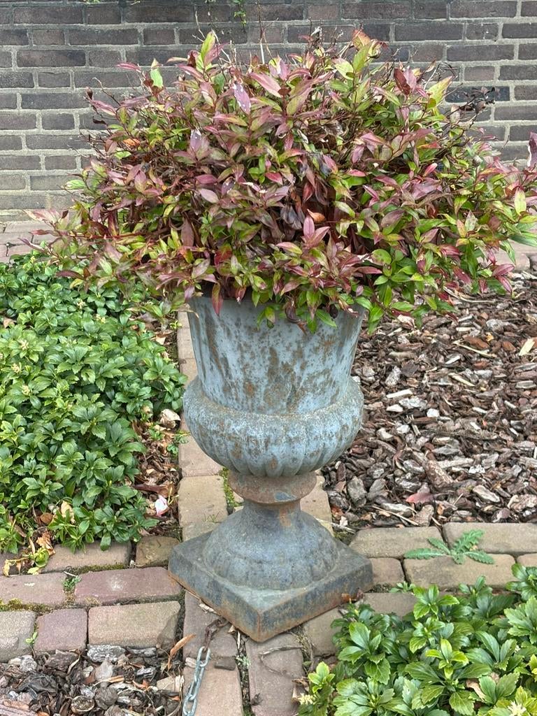 Gietijzeren bloempot, 70 cm hoog, Tuin en Terras, Ophalen, Zo goed als nieuw