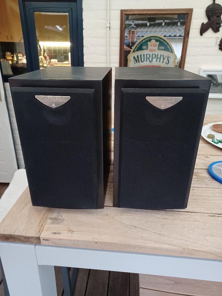 Boekenplankspeakers Triangle Titus EX, Audio, Tv en Foto, Luidsprekers, Gebruikt, Minder dan 60 watt, Front, Rear of Stereo speakers