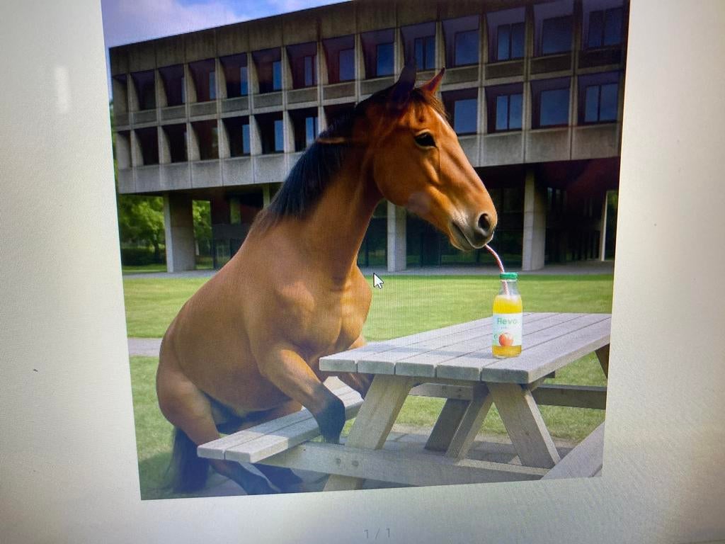 grote partij Picknicktafels van 1,50 tot 3 meter lang, Ophalen, Zo goed als nieuw, Rechthoekig, Kinderpicknicktafel