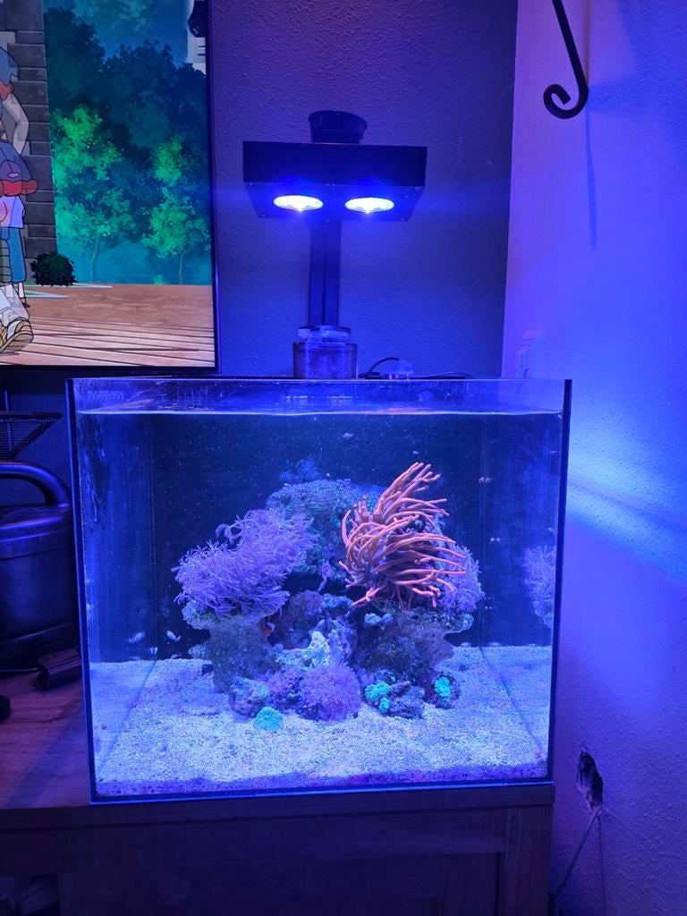 Waterbox 75 liter zeeaquarium, Dieren en Toebehoren, Ophalen, Leeg aquarium