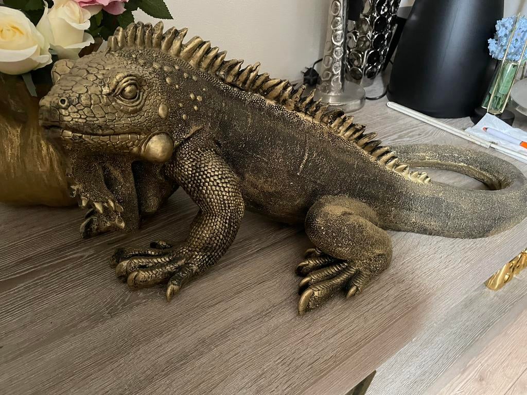 Leguaan, Ophalen, Nieuw, Dier