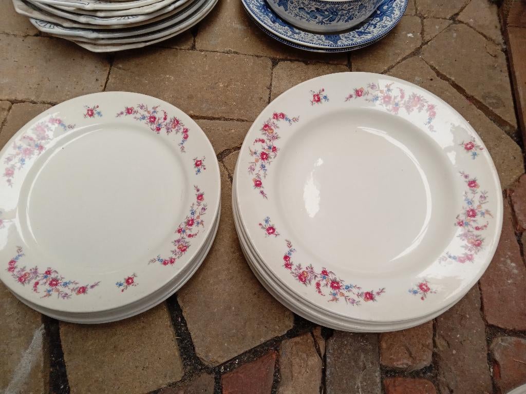 Te koop borden P Regout mooie guirlande op de randen, Ophalen of Verzenden