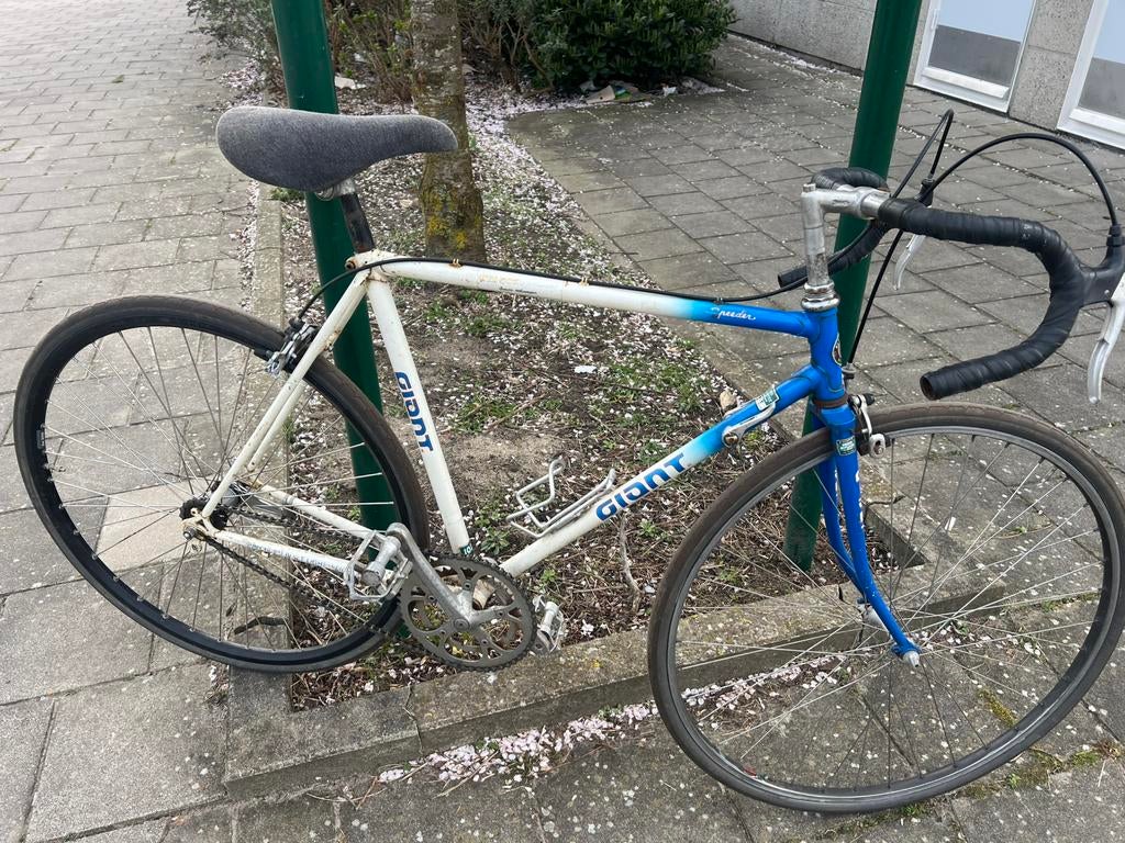 race feits rijklaar, Gebruikt, Staal, Dames, 53 tot 57 cm