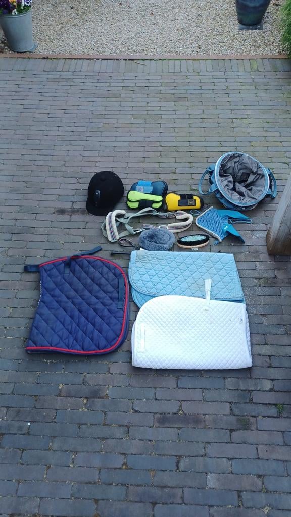 Paardenspulletjes, Dieren en Toebehoren, Ophalen, Gebruikt, Recreatie