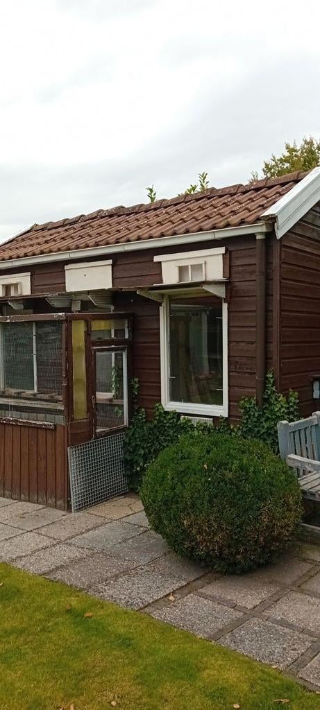 Dierenverblijf gratis op te halen, Dieren en Toebehoren, Vogels | Duiven, Postduif