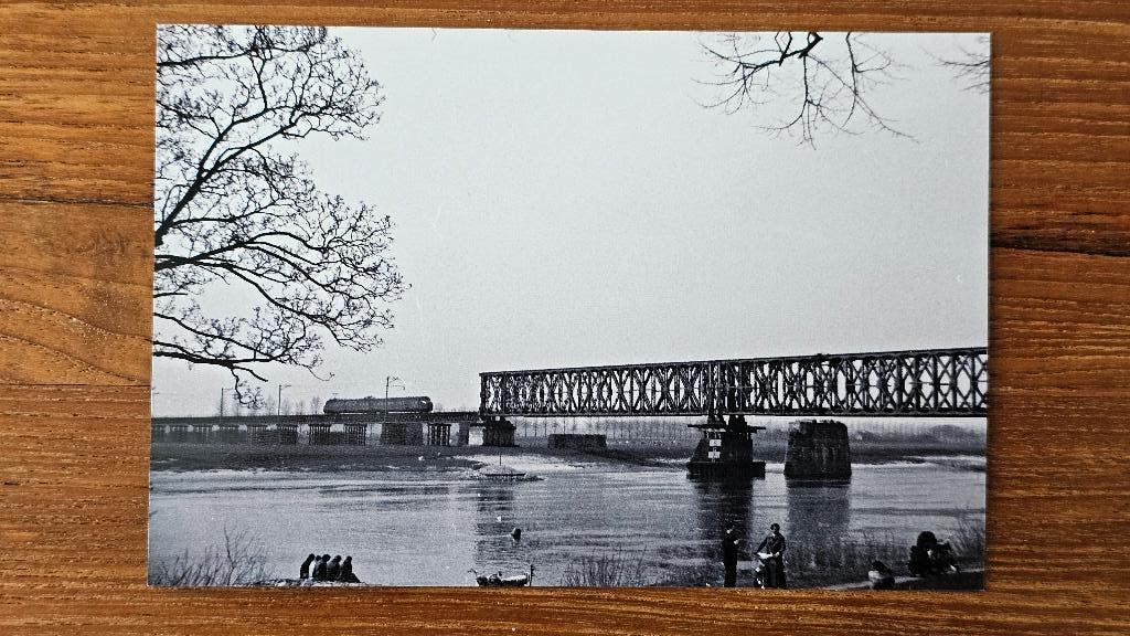 Foto TREIN NS Nederlandse Spoorwegen Mat 54 Hondekop EID2, Verzamelen, Spoorwegen en Tramwegen, Verzenden, Gebruikt, Trein, Overige typen